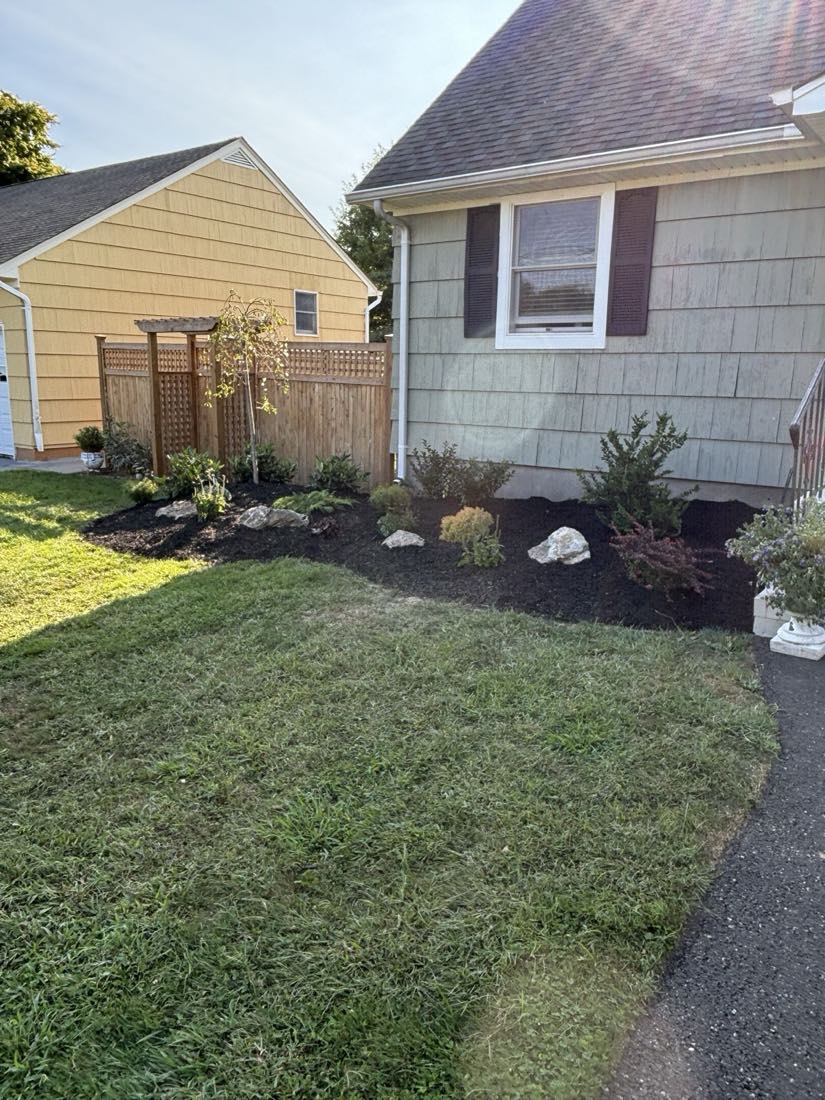 Clean mulch bed with specimen plantings beside a home