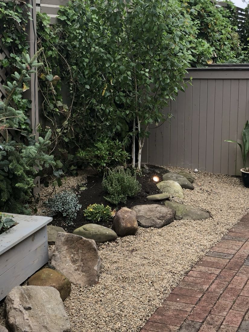 Backyard river-rock garden with birch and stone accents